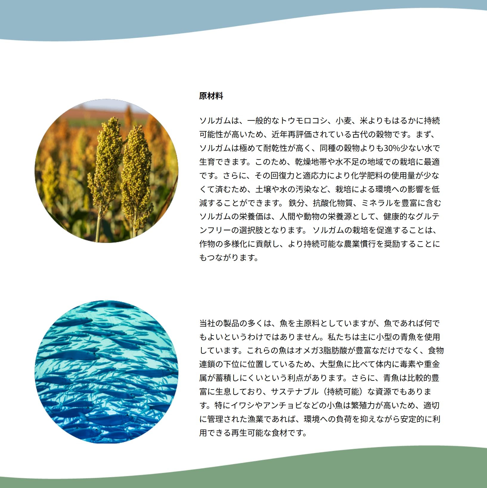 FORZA10 アダルトミニホース3.6kg Amazon.co.jp: フォルツァ10(Forza10) ドッグフード デイリー